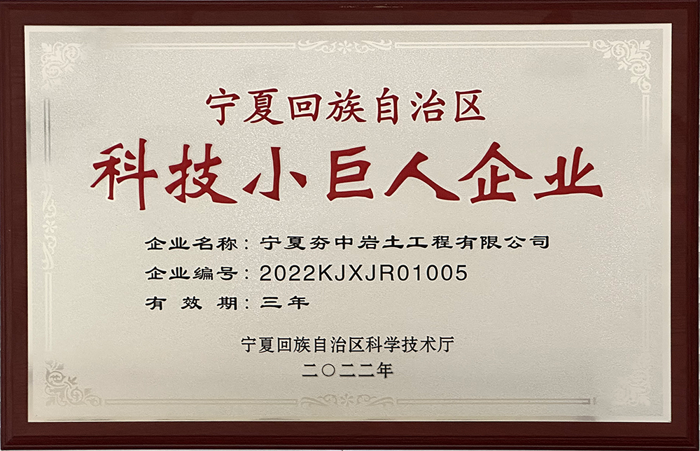5宁夏回族自治区科技小巨人企业.png 5宁夏回族自治区科技小巨人企业.png